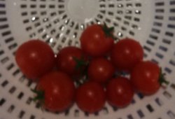 Organic Cherry Tomatoes