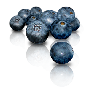 Blueberries!